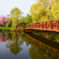 a red footbridge over still water with trees in the background